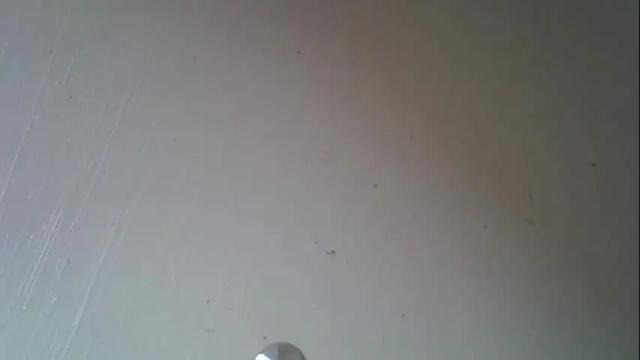 Image 11 of hairypussyxl Stream on Chaturbate on 1 month ago