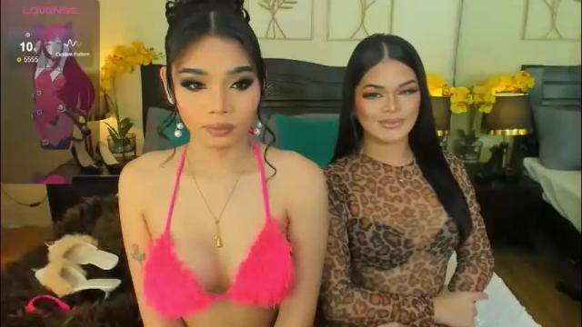 Image 8 of haisleypalmer Stream on Chaturbate on 1 month ago