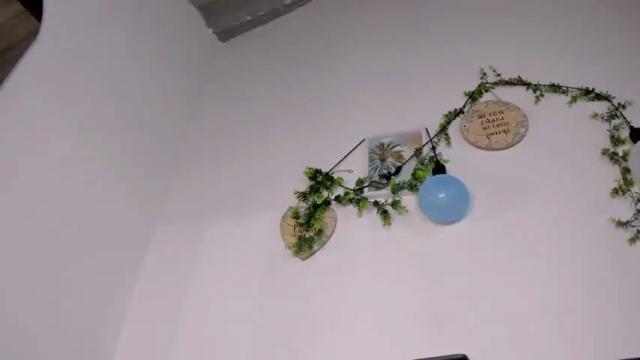 Image 11 of hali_roussel Stream on Chaturbate on 16 months ago
