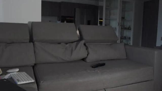 Image 7 of halliee Stream on Chaturbate on 1 month ago