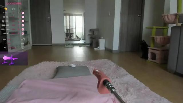 Image 8 of halliee Stream on Chaturbate on 20 days ago