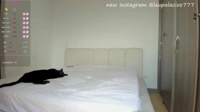 Image 4 of halliee Stream on Chaturbate on 2 days ago
