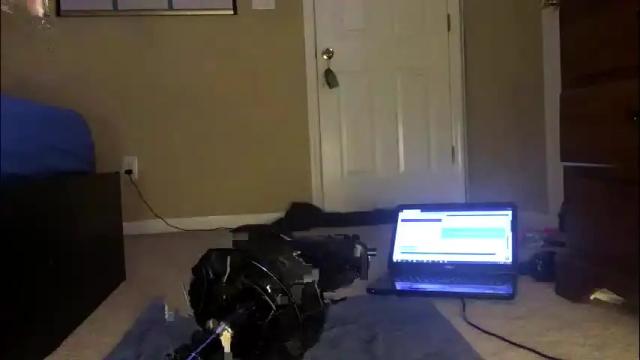 Image 4 of hamtaco1 Stream on Chaturbate on 2 months ago