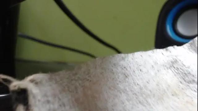 Image 8 of han_ya06 Stream on Chaturbate on 20 months ago