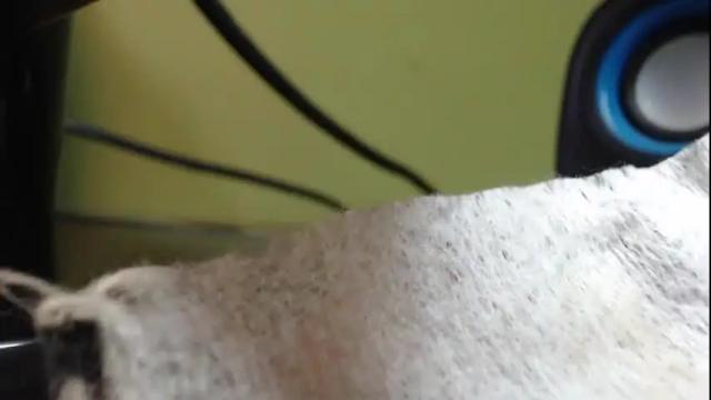 Thumbnail 3, han_ya06's Stream at Chaturbate, 20 months ago