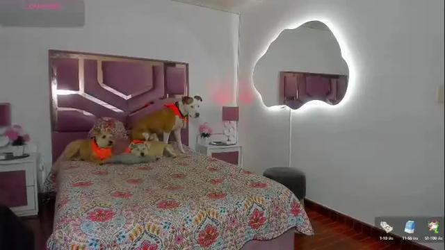 Image 2 of hanaboston Stream on Chaturbate on 2 months ago