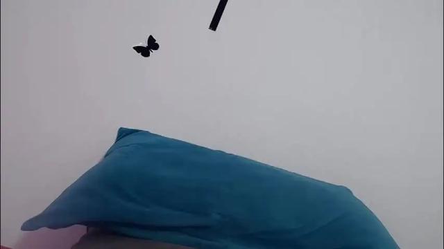 Image 7 of hanamor Stream on Chaturbate on 2 months ago