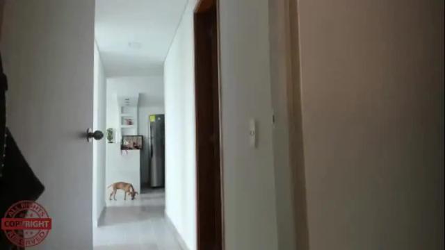 Thumbnail 2, hanarosio1994's Stream at Chaturbate, 1 month ago