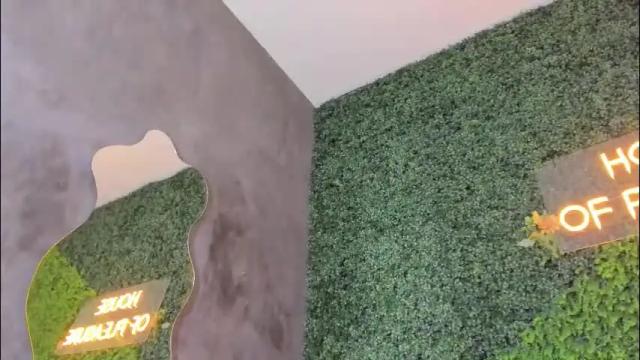 Image 2 of hanna_cupper Stream on Chaturbate on 28 days ago