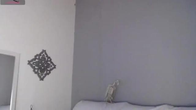 Thumbnail 3, hanna_sweet07's Stream at Chaturbate, 17 months ago