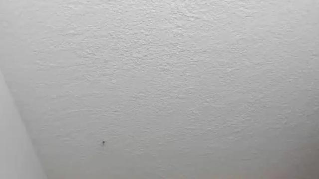 Image 2 of happy_pervert Stream on Chaturbate on 17 months ago