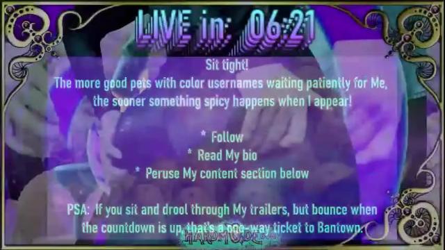 Image 3 of hardm0de Stream on Chaturbate on 20 days ago