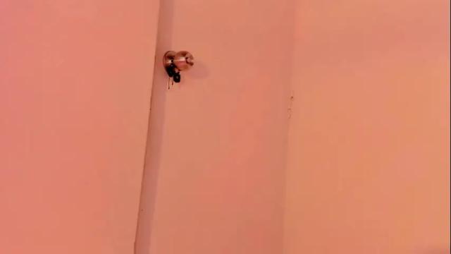 Image 8 of harley_red Stream on Chaturbate on 1 month ago
