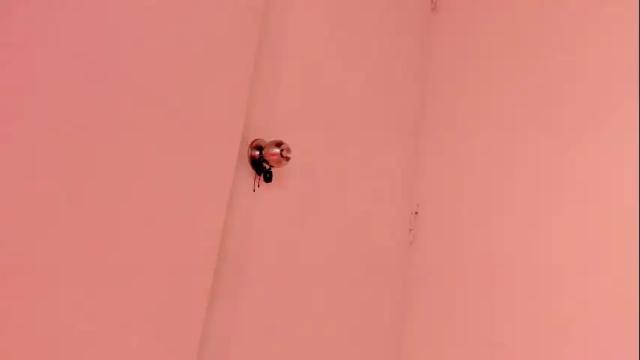 Image 2 of harley_red Stream on Chaturbate on 1 month ago