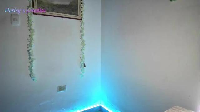 Thumbnail 3, harleyparadise's Stream at Chaturbate, 2 months ago