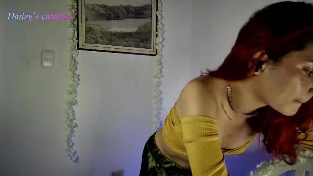 Thumbnail 1, harleyparadise's Stream at Chaturbate, 1 month ago
