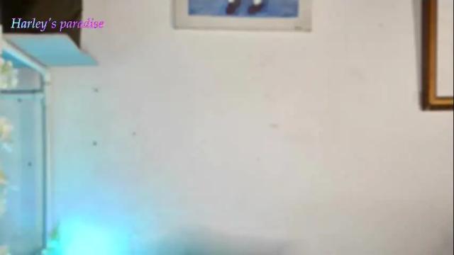 Image 10 of harleyparadise Stream on Chaturbate on 28 days ago