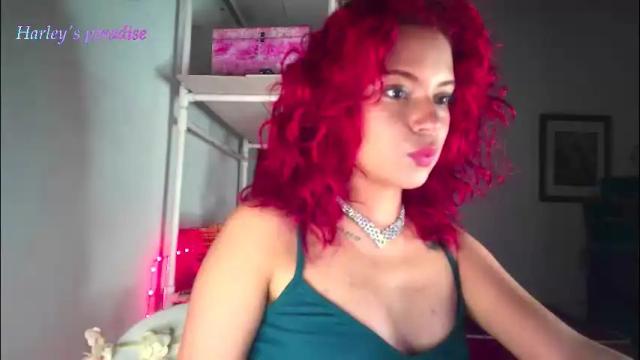 Image 4 of harleyparadise Stream on Chaturbate on 1 month ago
