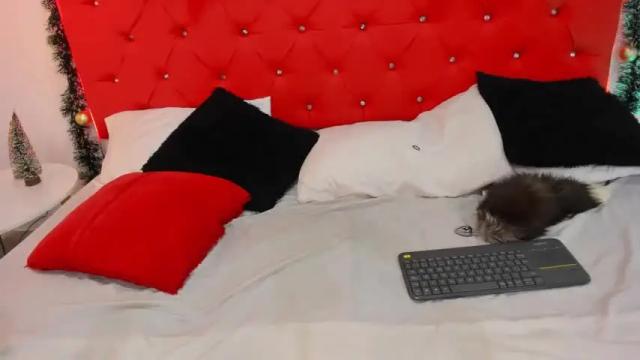 Thumbnail 1, haru_bunnyy's Stream at Chaturbate, 18 months ago