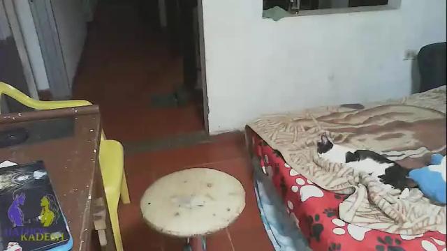 Image 7 of hathor_kadesh Stream on Chaturbate on 26 days ago