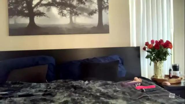 Image 2 of hazelb25 Stream on Chaturbate on 12 months ago