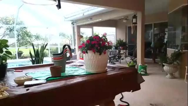 Image 11 of hazelb25 Stream on Chaturbate on 5 months ago