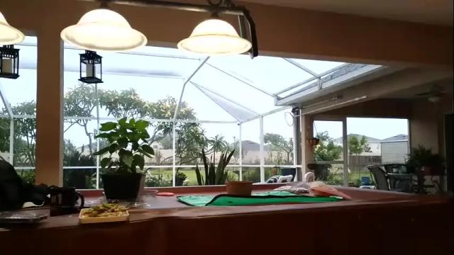 Image 6 of hazelb25 Stream on Chaturbate on 5 months ago