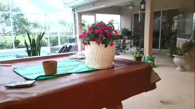 Image 8 of hazelb25 Stream on Chaturbate on 5 months ago