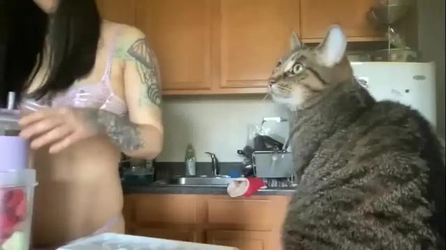 Image 11 of headykity710 Stream on Chaturbate on 20 months ago