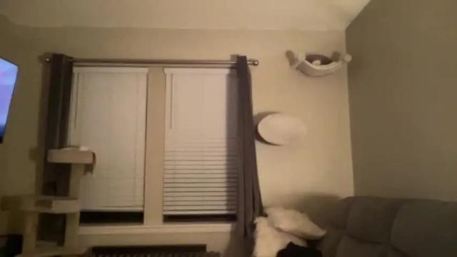 Thumbnail 3, headykity710's Stream at Chaturbate, 20 months ago