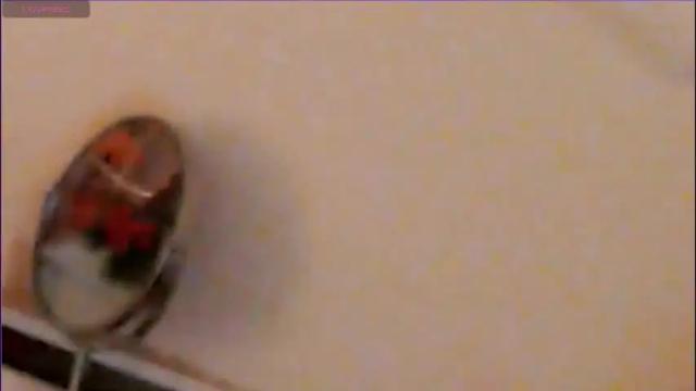 Image 10 of heaven_chloe Stream on Chaturbate on 3 days ago