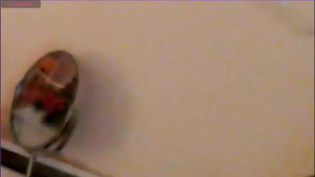 Thumbnail 3, heaven_chloe's Stream at Chaturbate, 2 days ago