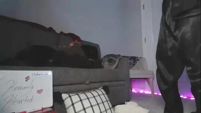 Image 2 of heavenlyhearted Stream on Chaturbate on 17 months ago