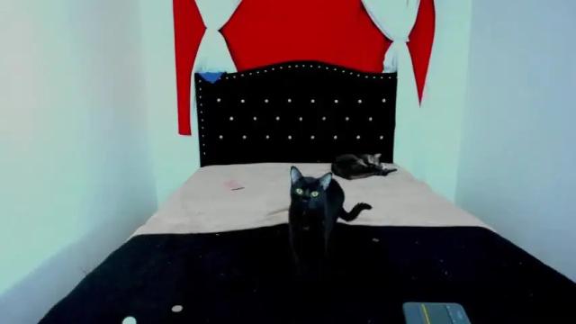 Image 2 of hecate_and_crow Stream on Chaturbate on 16 months ago