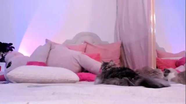 Image 4 of heidimountain Stream on Chaturbate on 1 month ago