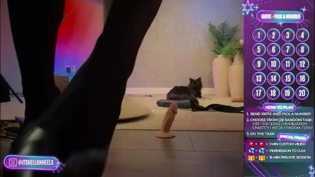 Image 6 of hell_on_heels_ Stream on Chaturbate on 1 month ago