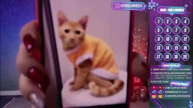 Image 3 of hell_on_heels_ Stream on Chaturbate on 11 days ago