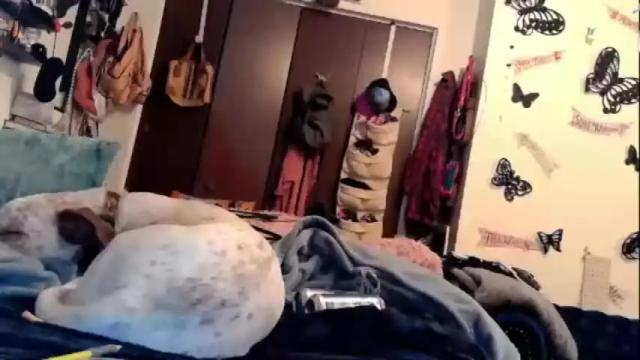 Image 8 of hellomisskitty420 Stream on Chaturbate on 16 months ago