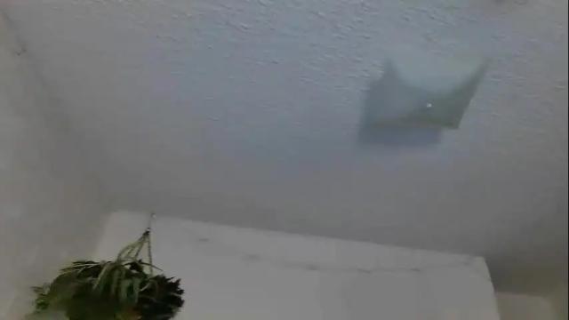 Image 10 of hercockisbigger Stream on Chaturbate on 9 days ago