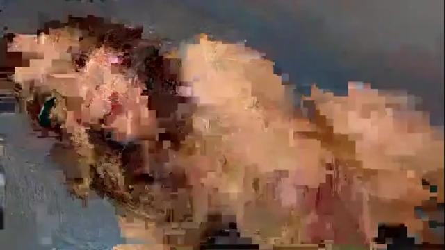 Image 2 of hermosa28 Stream on Chaturbate on 1 month ago