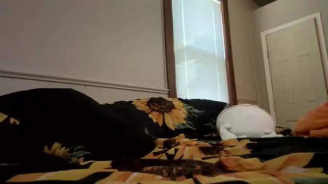 Image 6 of hey_hey314 Stream on Chaturbate on 18 months ago