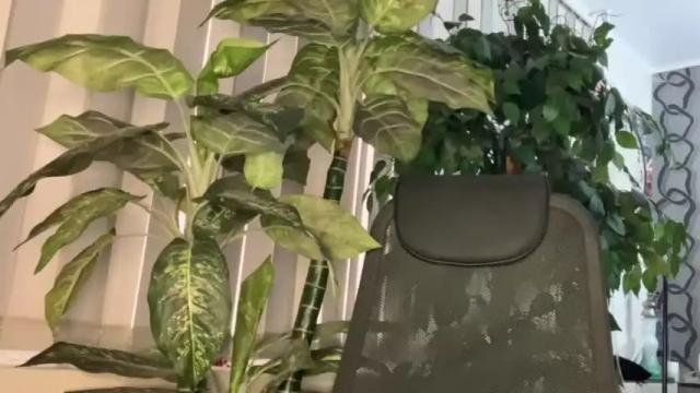 Image 6 of heyley_sativa Stream on Chaturbate on 19 months ago
