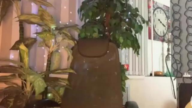 Thumbnail 3, heyley_sativa's Stream at Chaturbate, 18 months ago