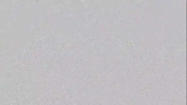 Image 3 of hi_im_rachel_ Stream on Chaturbate on 1 month ago