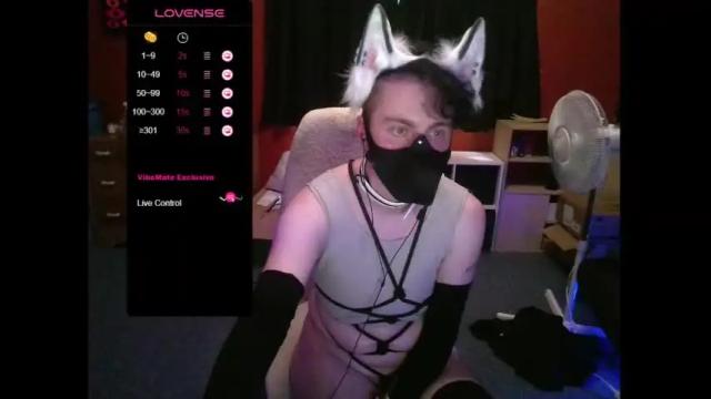 Image 12 of hiddenpup Stream on Chaturbate on 17 months ago