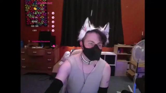 Image 2 of hiddenpup Stream on Chaturbate on 17 months ago