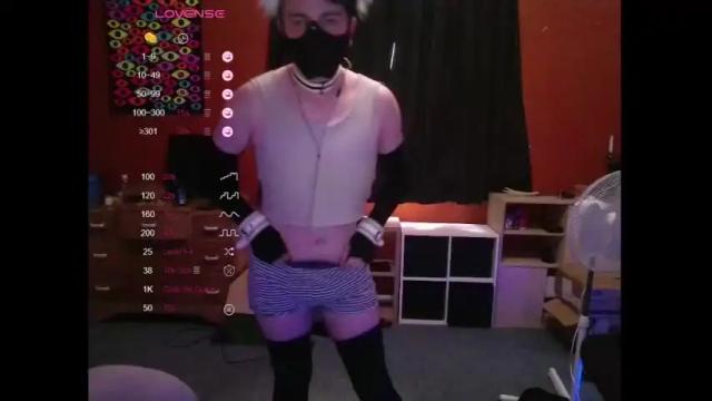 Image 3 of hiddenpup Stream on Chaturbate on 17 months ago