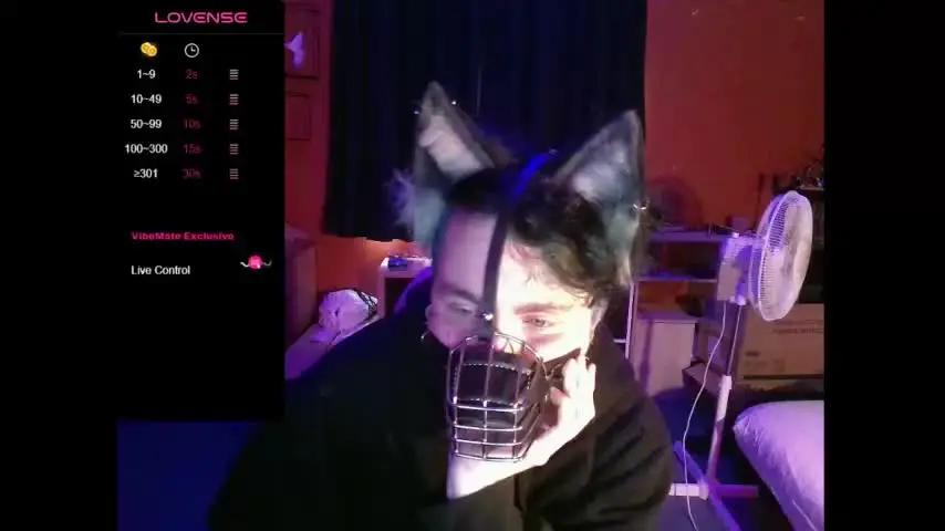 hiddenpup Chaturbate