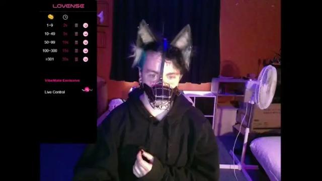 Image 4 of hiddenpup Stream on Chaturbate on 16 months ago