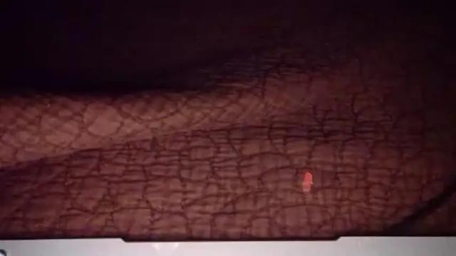Image 12 of hisnotyours Stream on Chaturbate on 2 months ago